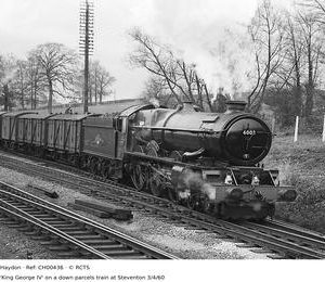 CH00436