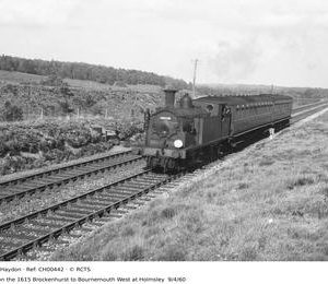 CH00442