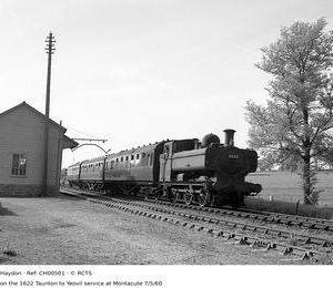 CH00501