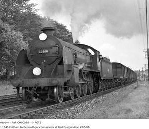 CH00516