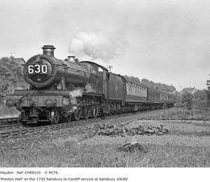 CH00531