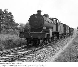 CH00539