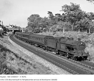 CH00557