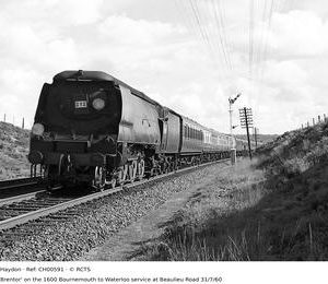 CH00591