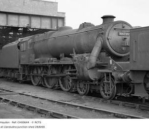CH00644