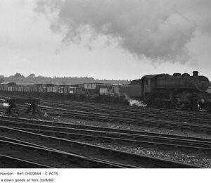 CH00664