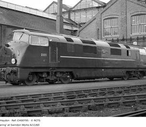 CH00795