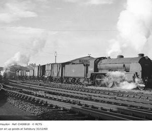 CH00818
