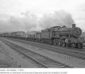 CH00831