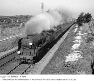 CH00939