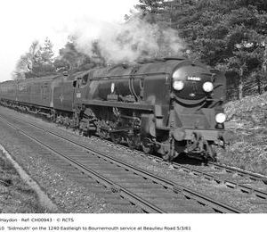 CH00943