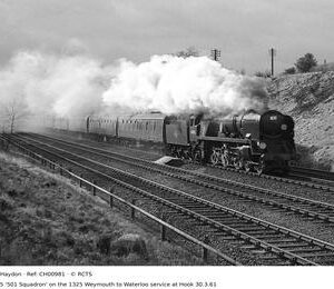CH00981