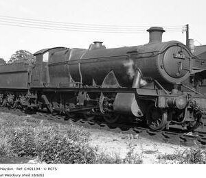 CH01194