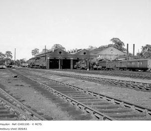 CH01195
