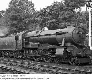 CH01250