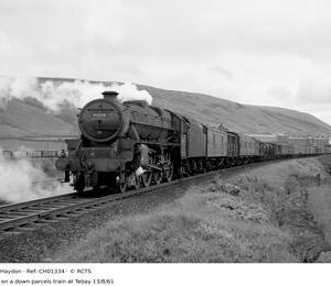 CH01334