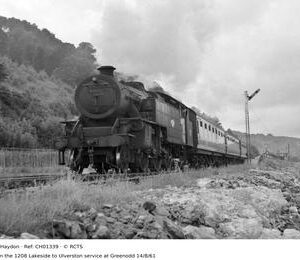 CH01339