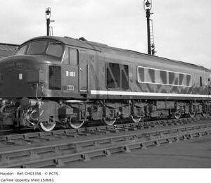 CH01356