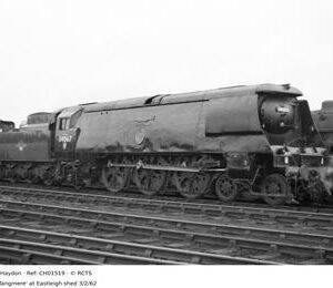 CH01519