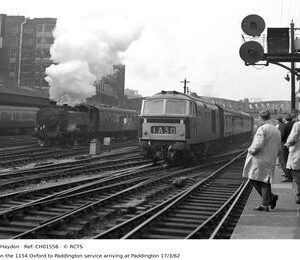 CH01556