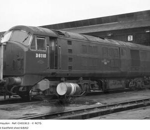 CH01913