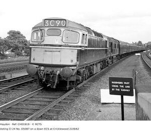 CH01919