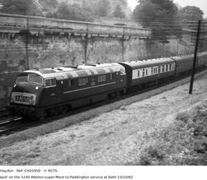 CH01950