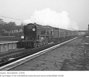 CH01976