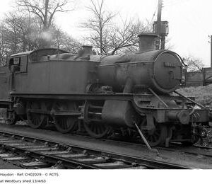 CH02029