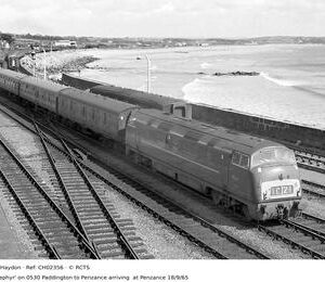 CH02356