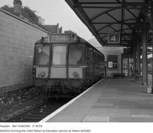 CH02390