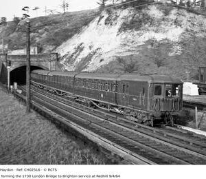 CH02516