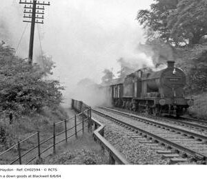 CH02594