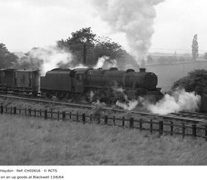 CH02616