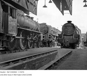 CH02902