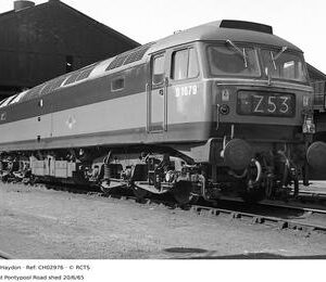 CH02976