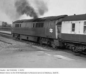 CH03166