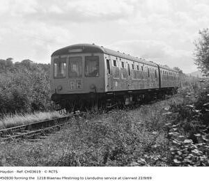 CH03619
