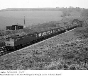 CH03816