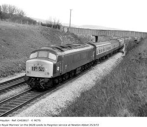 CH03817