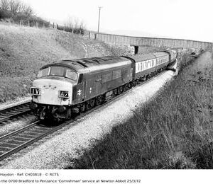 CH03818