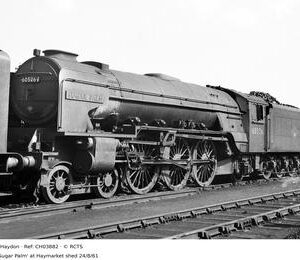 CH03882