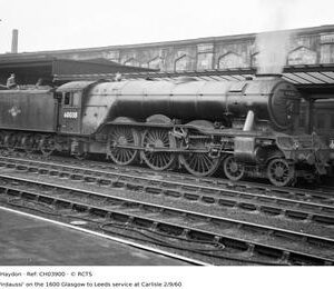 CH03900
