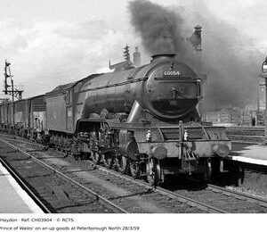 CH03904