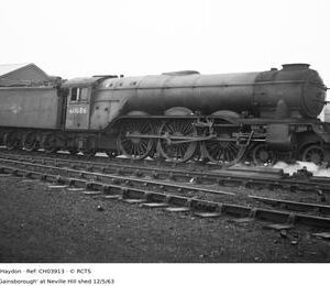 CH03913