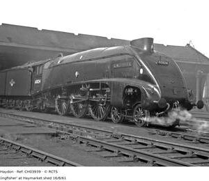 CH03939