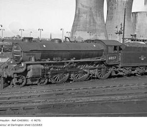 CH03951
