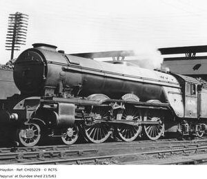 CH05229
