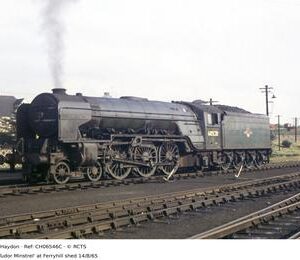 CH06546C