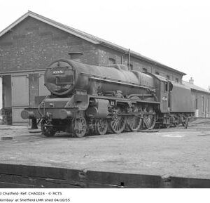 CHA0024